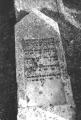 img025.jpeg.small.jpeg