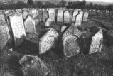 img030.jpeg.small.jpeg