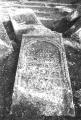 img032.jpeg.small.jpeg