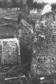 img036.jpeg.small.jpeg