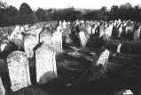 img038.jpeg.small.jpeg