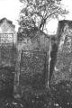 img039.jpeg.small.jpeg