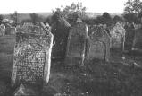 img040.jpeg.small.jpeg
