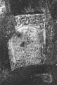 img042.jpeg.small.jpeg