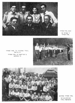 010-0082abc.jpg.medium.jpeg