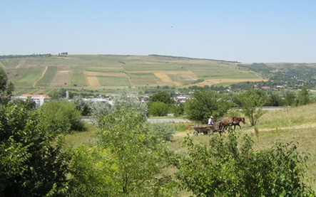 View from the west