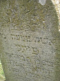 Pryborzhavske-stone-057