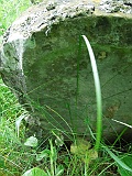 Pryslip-tstone-559