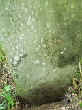 Pryslip-tstone-671