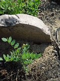 Pyiterfolvo-tombstone-renamed-29