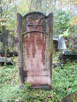 P1010149