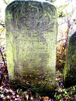 P1010184