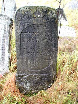 P1010195