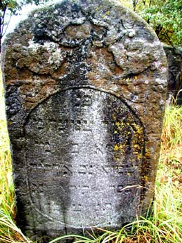 P1010212