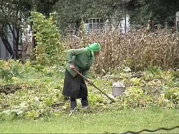 13RozhRosaliaField