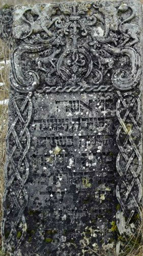TNSC30