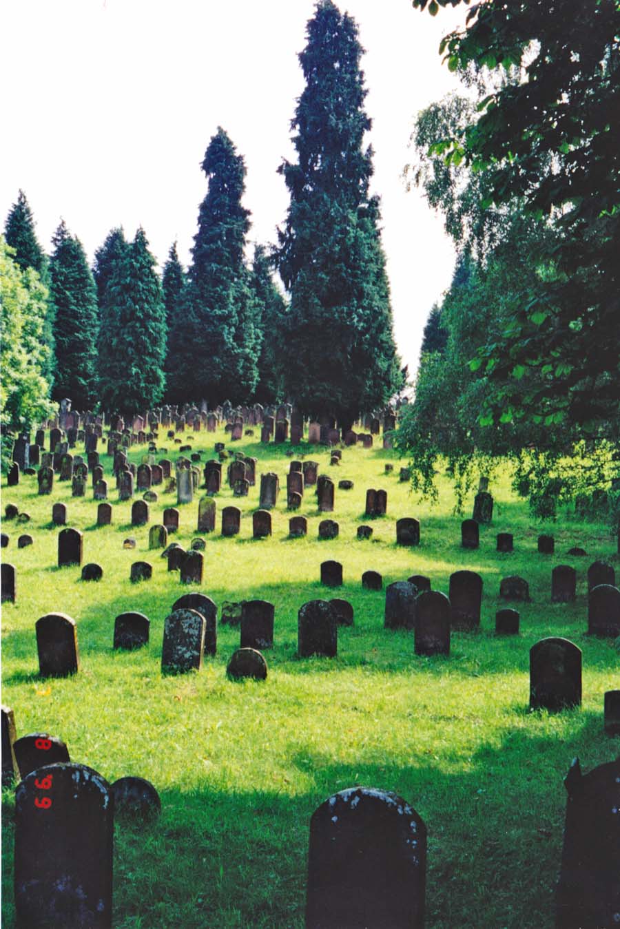 Schmieheim Cemetery
view