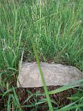 Serednye-Vodyane-tstone-134