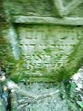 Shiroky-Luh-tombstone-49