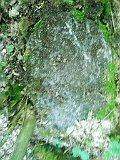 Shiroky-Luh-tombstone-73