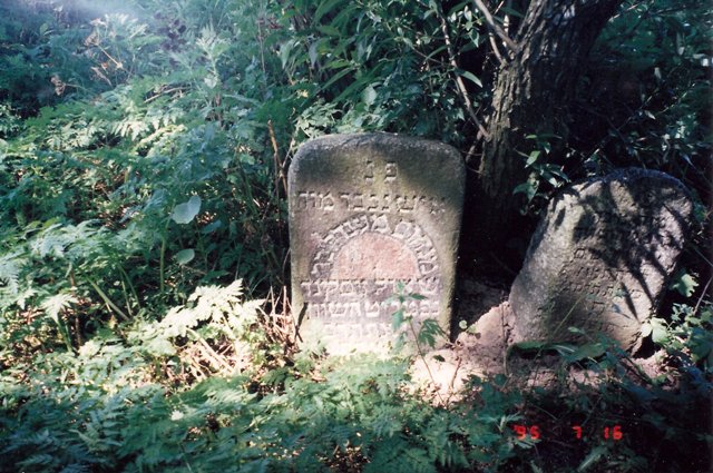 File 42 - Photo 1995.jpg