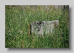 Siltse-Cemetery-008