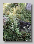 Siltse-Cemetery-052
