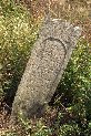 Stare-Davydkovo-Cemetery-030