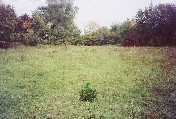 The site of the pits