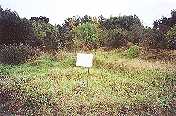 Holobotow forest, outside of Stryj, where several thousand Jews were shot.  .
