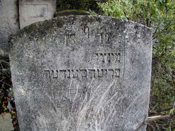 P1010086