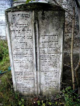 P1010116