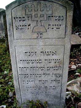 P1010235
