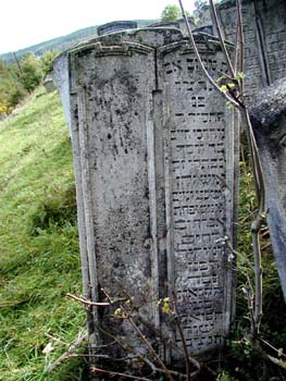 P1010237