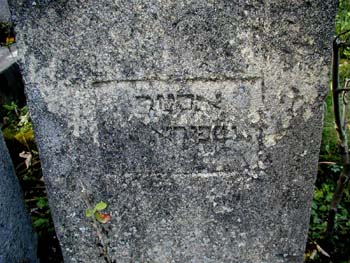 P1010239