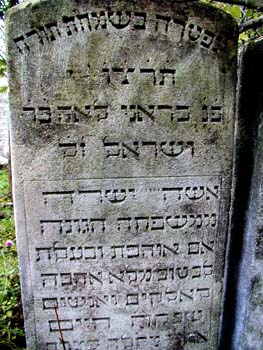 P1010245