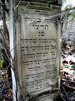 P1010251