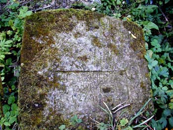 P1010272