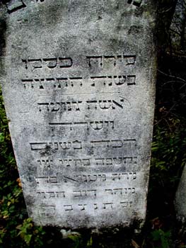 P1010273