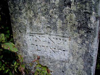 P1010281