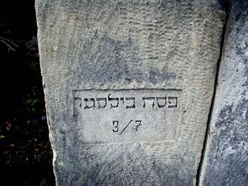 P1010287