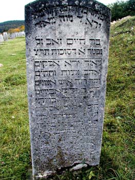 P1010310