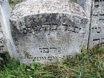 P1010337