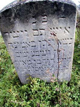 P1010363