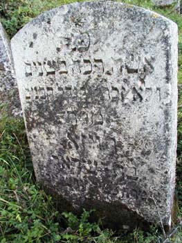P1010369