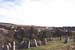 31BuchCemeteryView