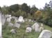 33CemeteryStonesOnHill