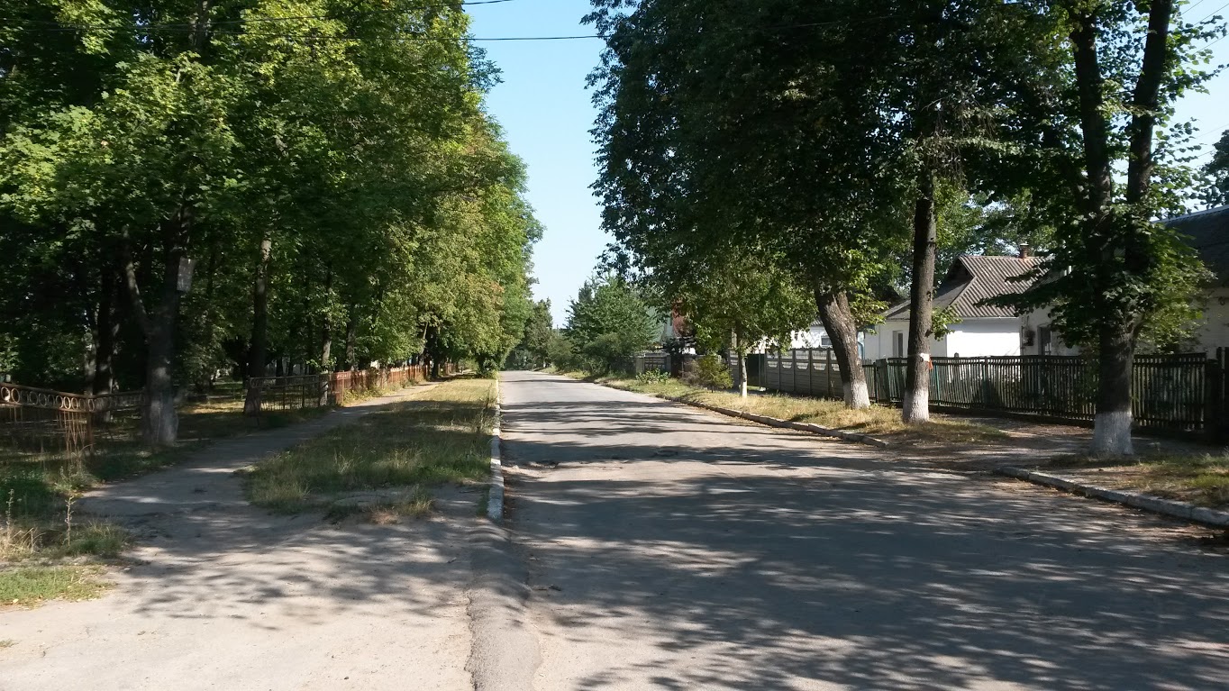 Tarashcha Road