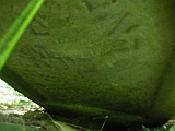Ternove-tombstone-renamed-262
