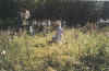 Tiszak Cemetery